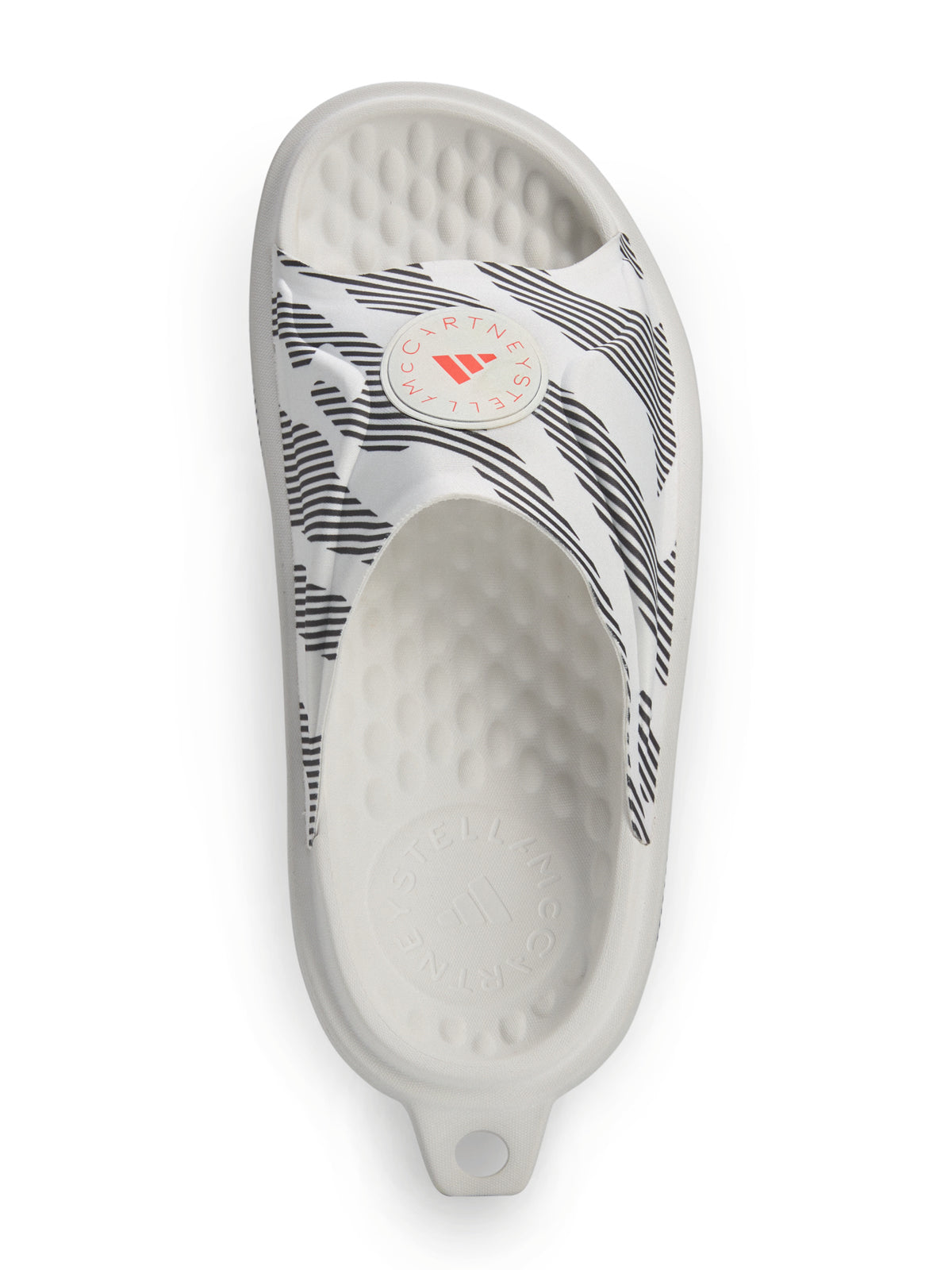 Cloud White Logo Slides
