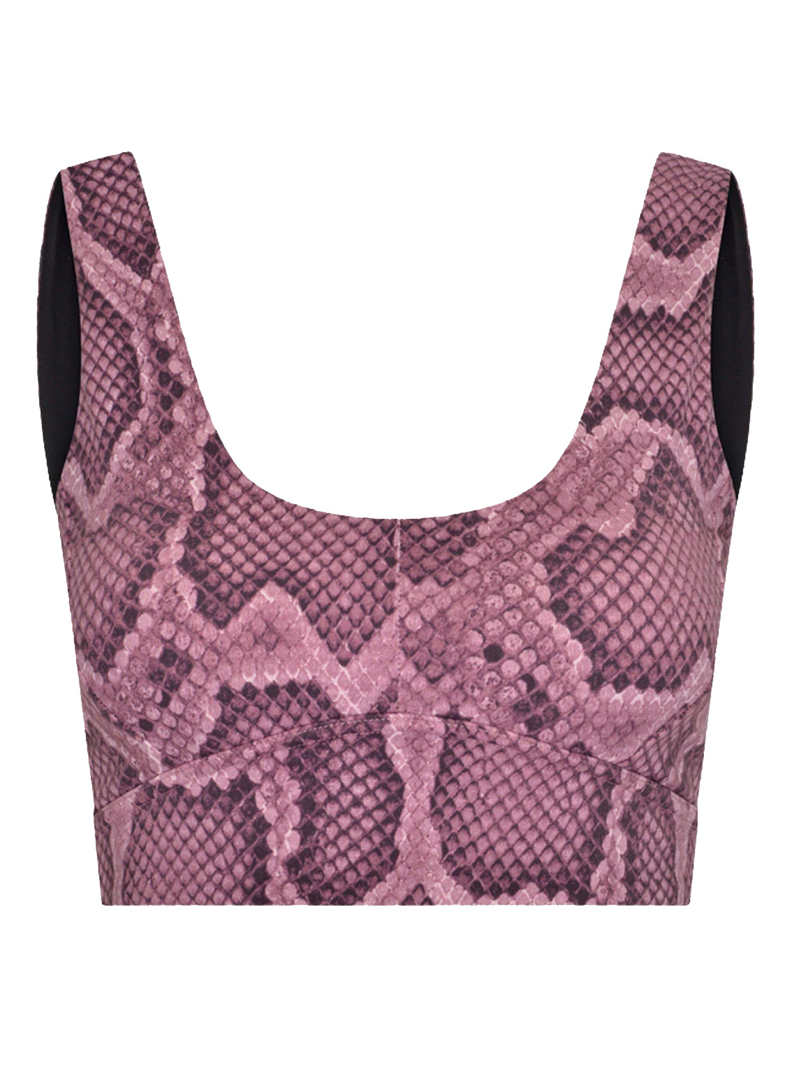 Mesa Rose Snake Let's Go Elsie Sports Bra