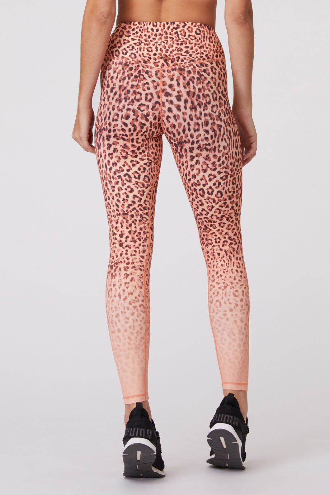 Into The Wild Leggings