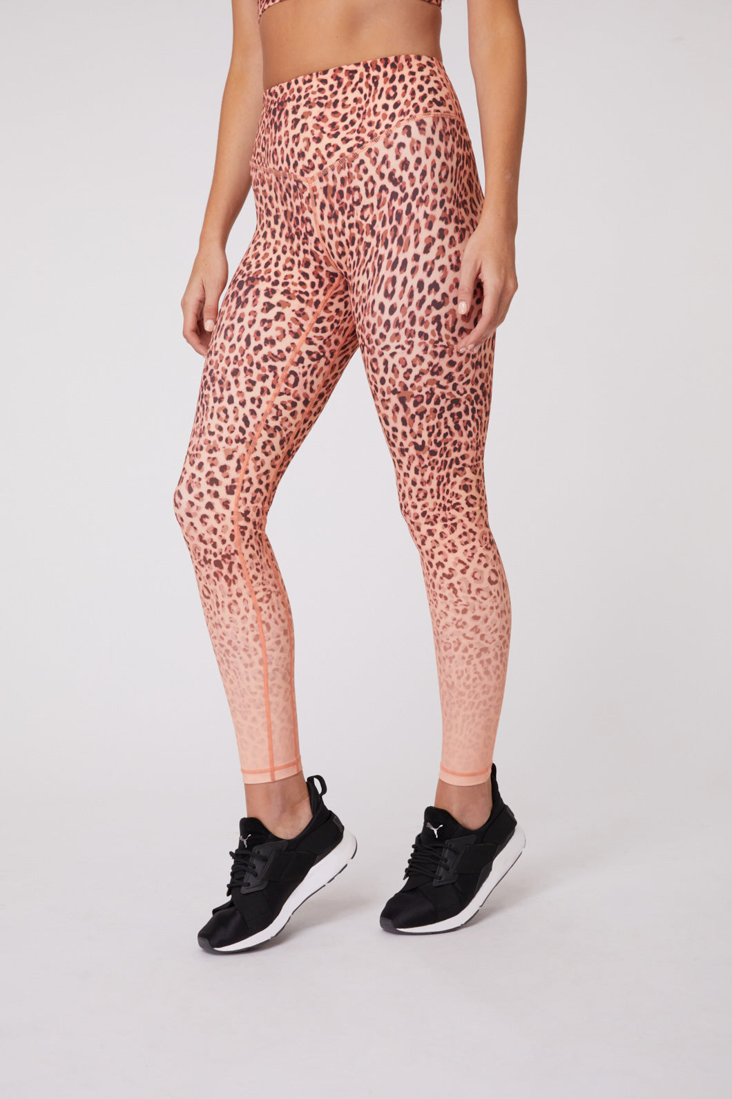 Into The Wild Leggings