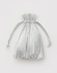 Chrome Metallic Pleated Bag